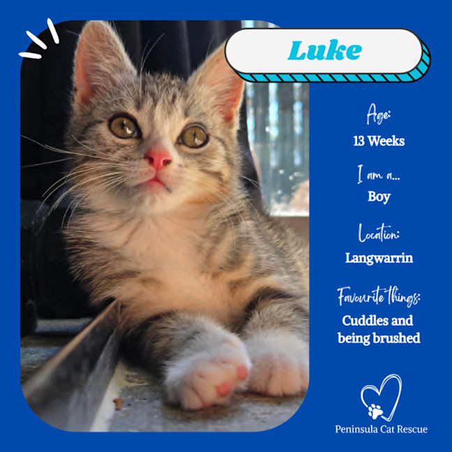 Photo of Luke