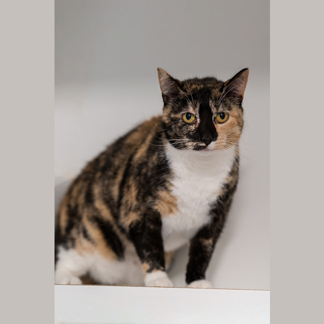 Photo of Bonnie