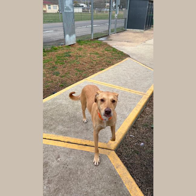 Photo of Lucy