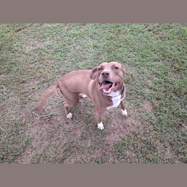 Photo of Carrol 71/2026