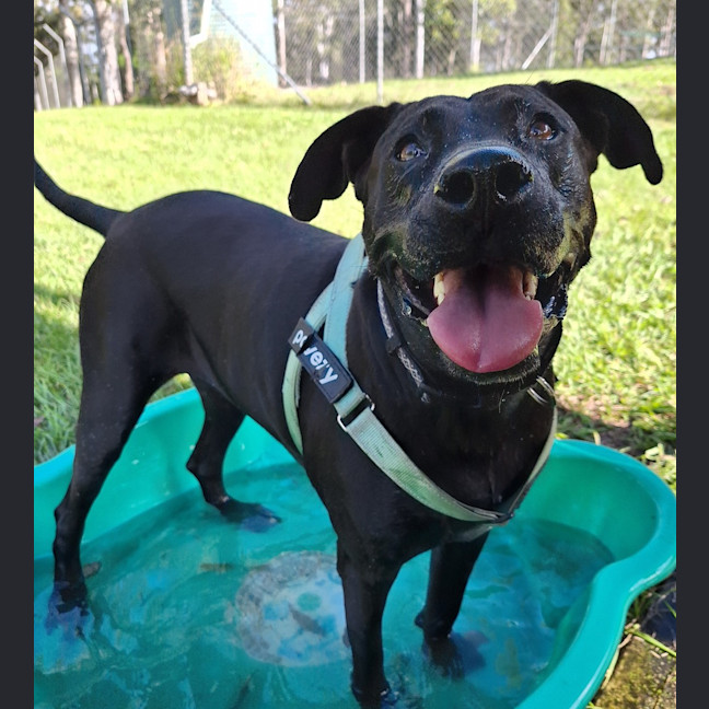 Photo of Maya