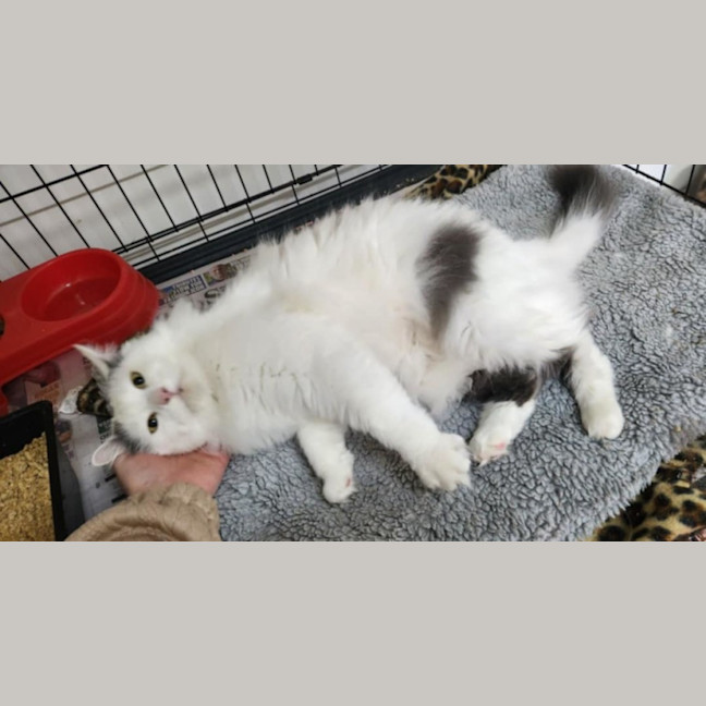 Photo of Jamilla Aka Milla