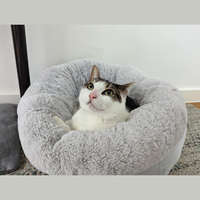 Photo of Tabitha
