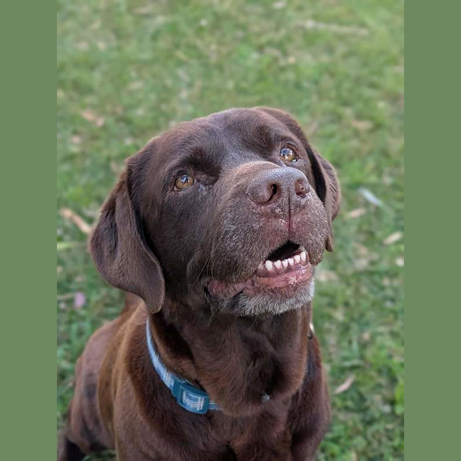 Photo of Coco
