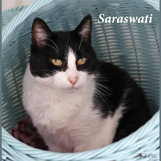 Photo of Saraswati