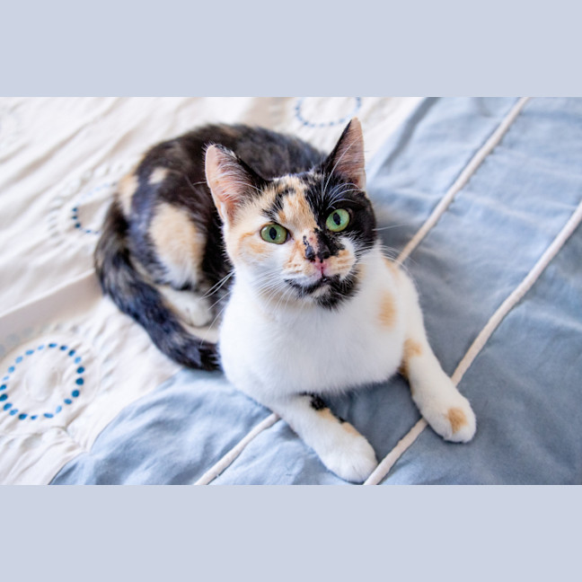 Photo of Molly