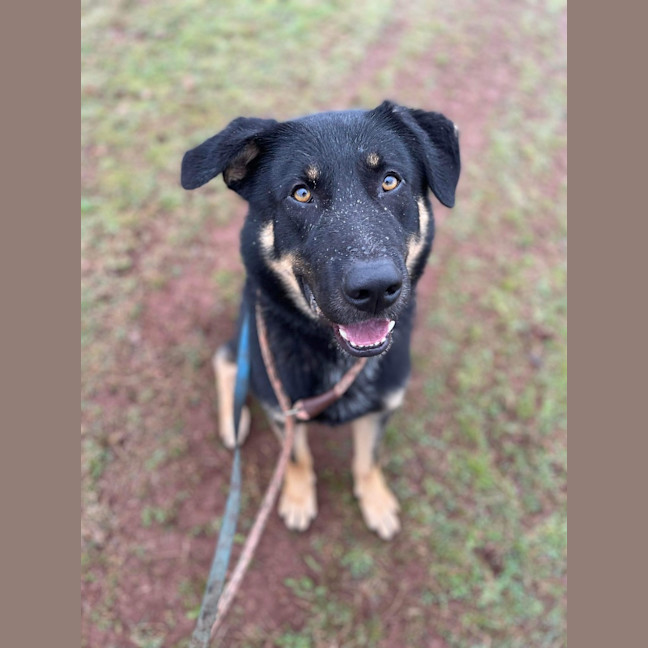 Photo of Max
