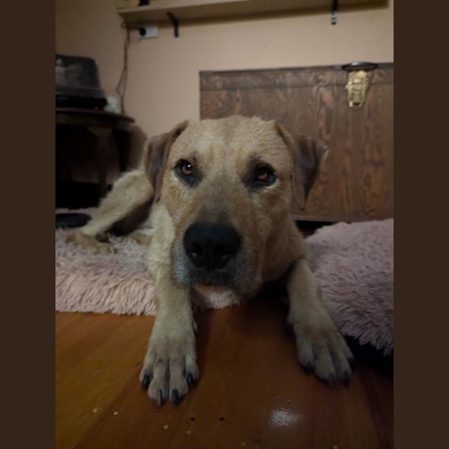 Photo of Fonzarelli
