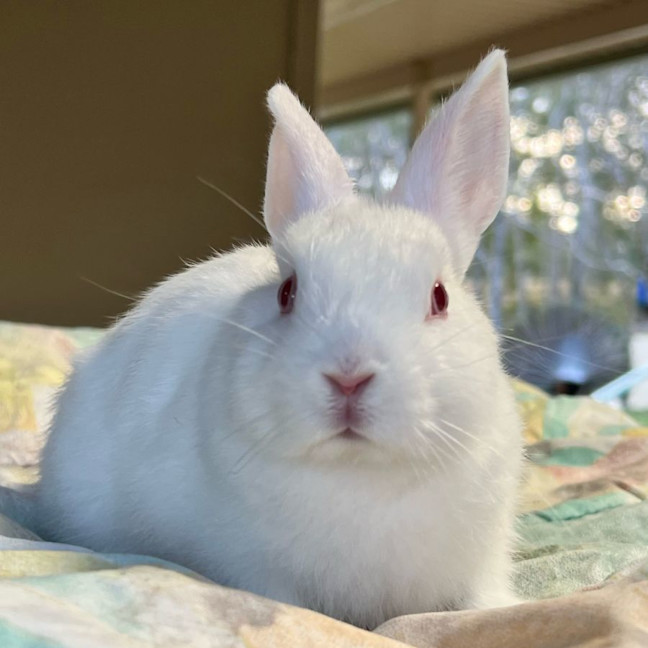 Photo of Dusky Dawn And Sutton 