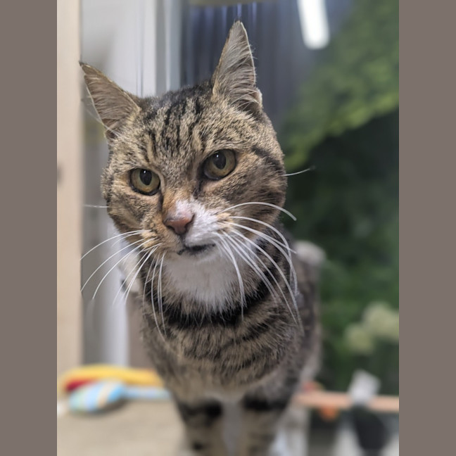 Photo of 🌱 Mochi 6381 🌱