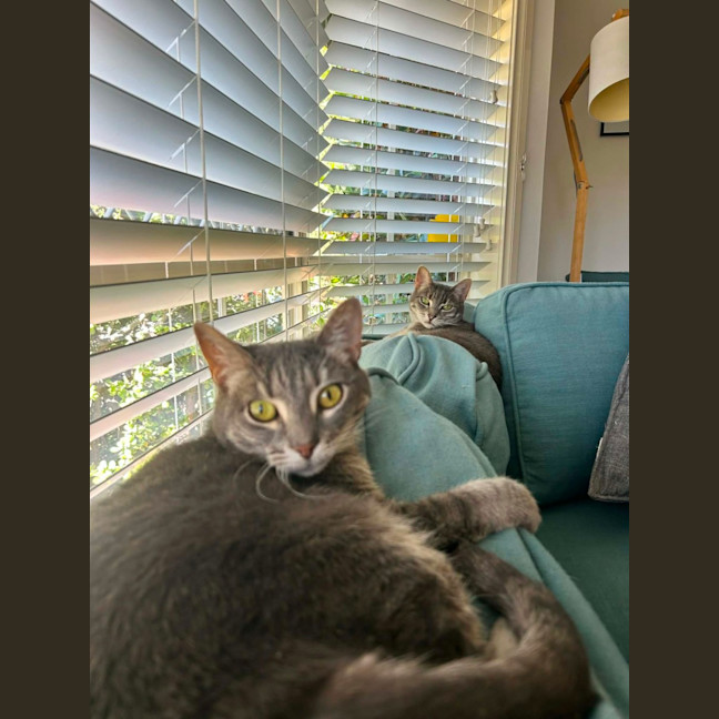 Photo of Patty & Selma