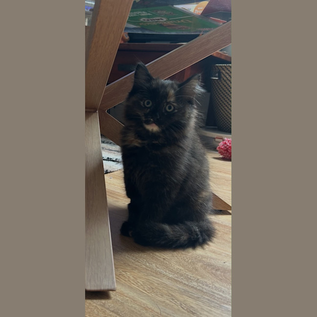 Photo of Cash