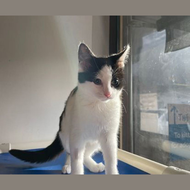 Photo of Mina