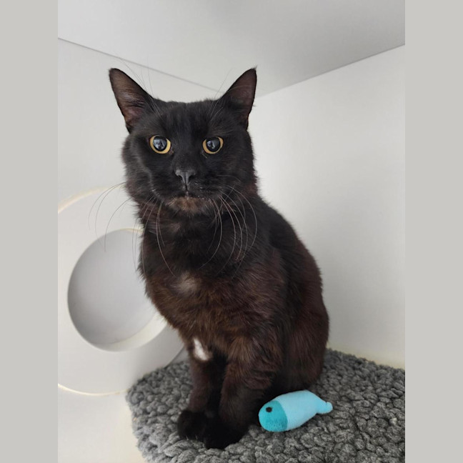 Photo of 😎 Felipe 6811 😎