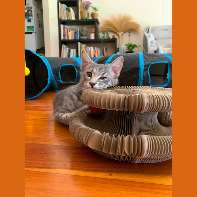 Photo of Zoe 