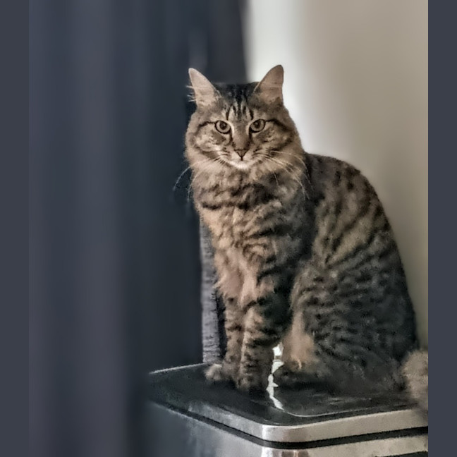 Photo of Dior