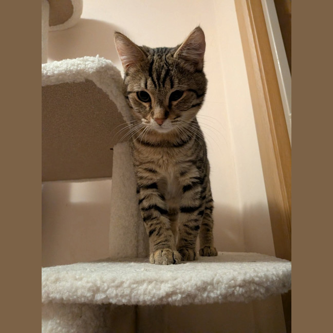 Photo of Wilder