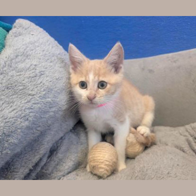 Photo of Maggie