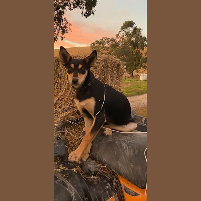 Photo of Maggie