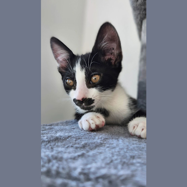 Photo of Jacob