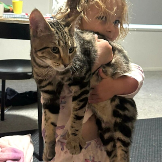 Photo of Milo