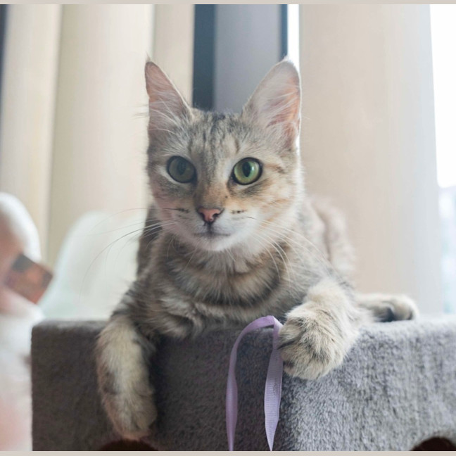 Photo of Blondie 🩷 