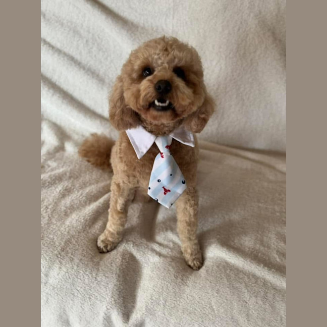 Photo of Kai 