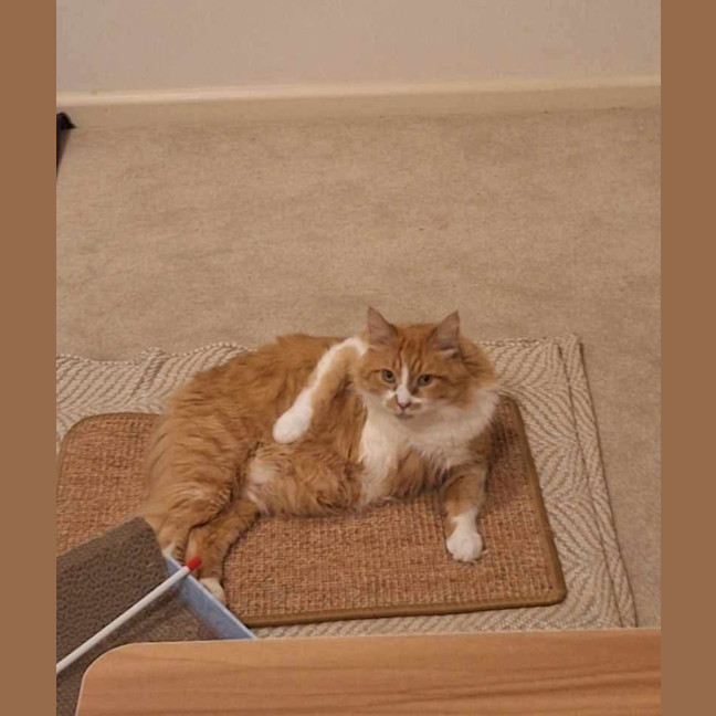 Photo of 😻 Eugene (Gene) 