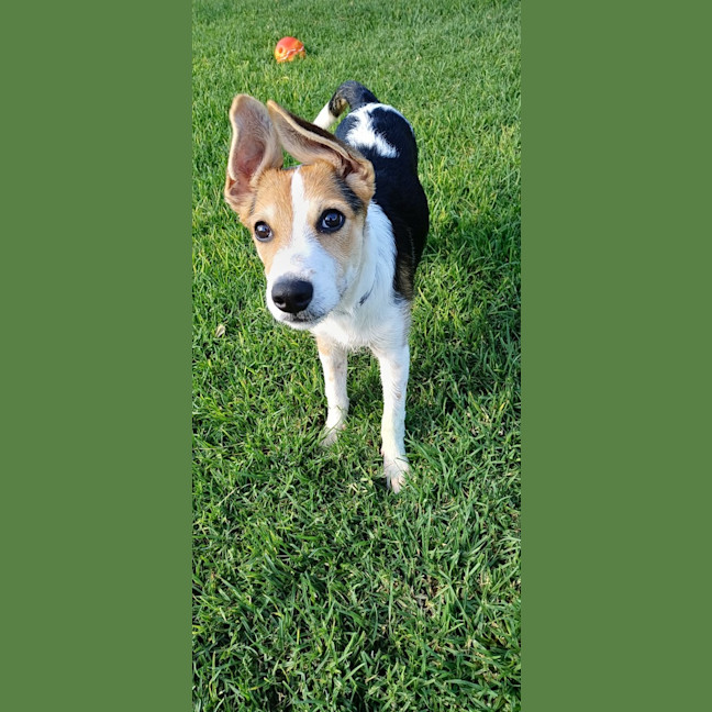 Photo of Mirabel