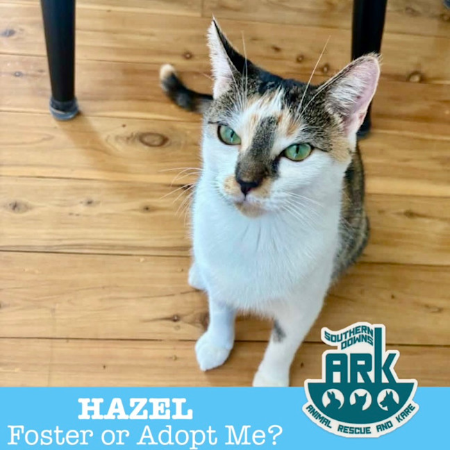 Photo of Hazel