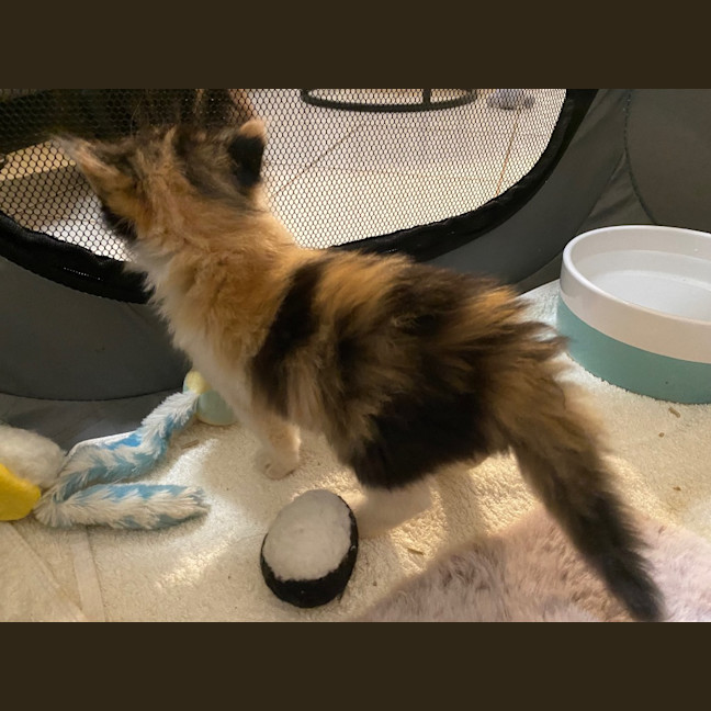 Photo of Hadley Parker