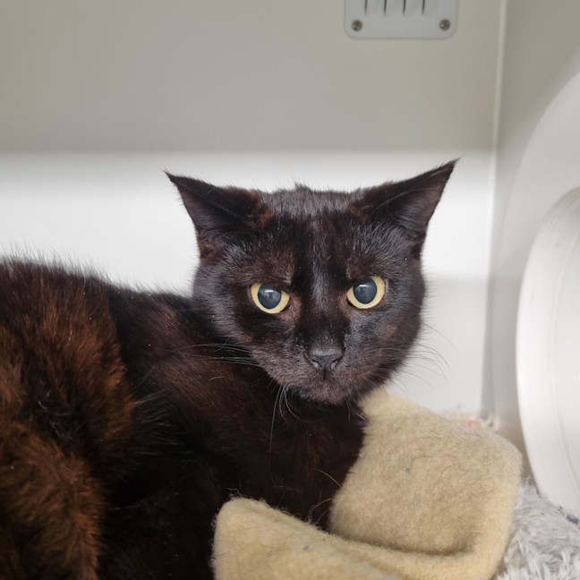 Photo of Marmite