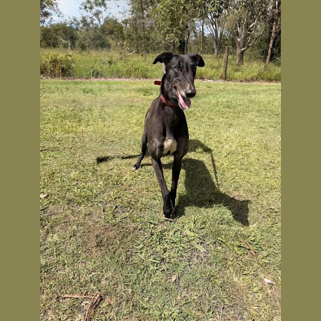 Photo of Dex