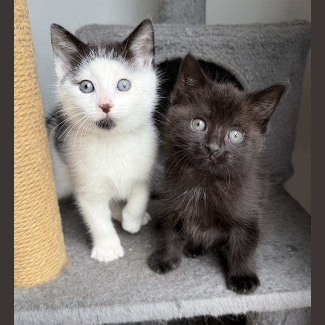 Photo of Rippy & Winki