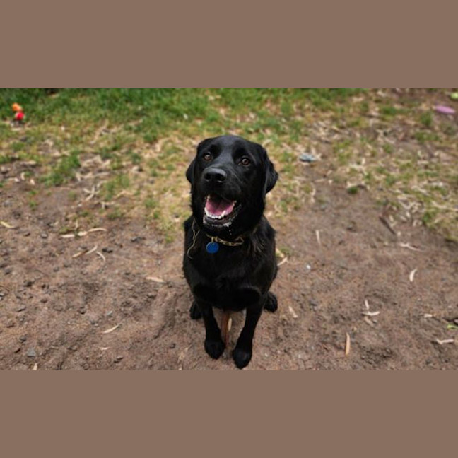 Photo of Benson