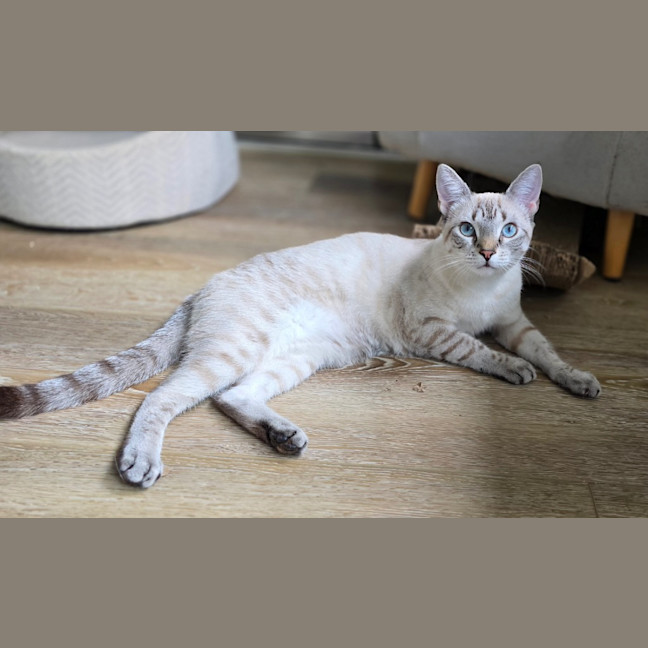 Photo of Moira
