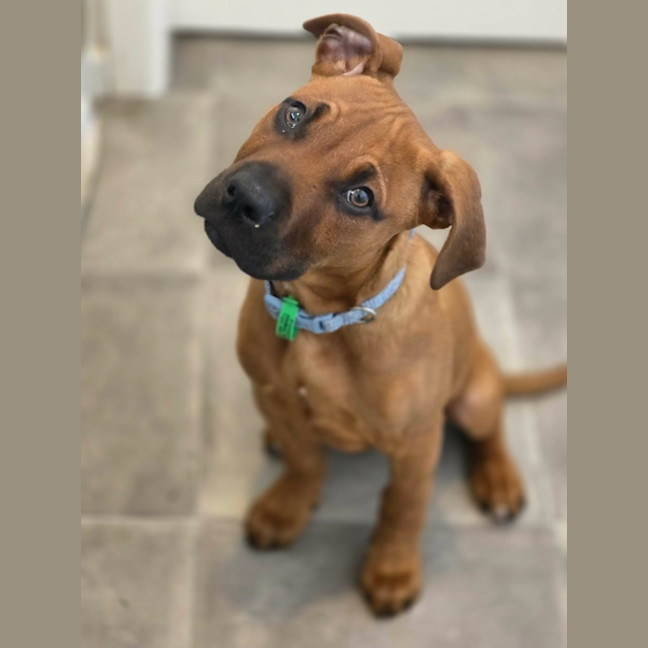 Photo of Ted