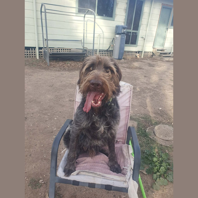 Photo of Winston