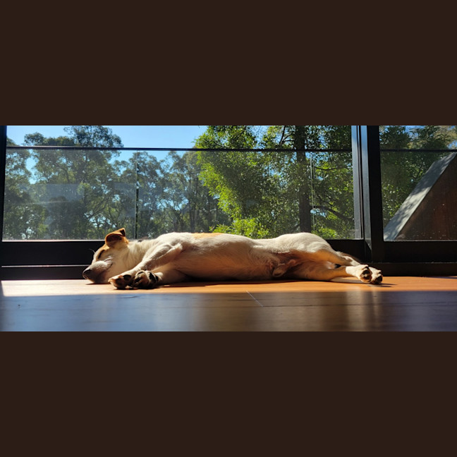 Photo of Sheldon