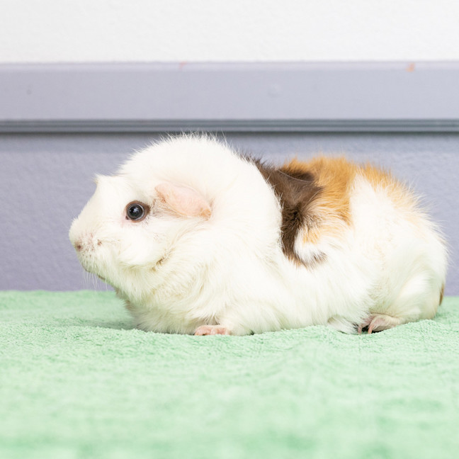 Photo of Alan