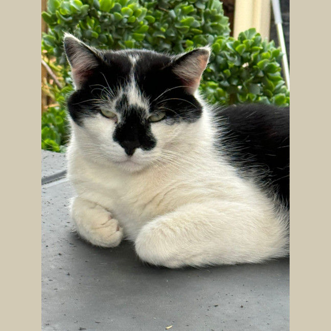 Photo of Diego
