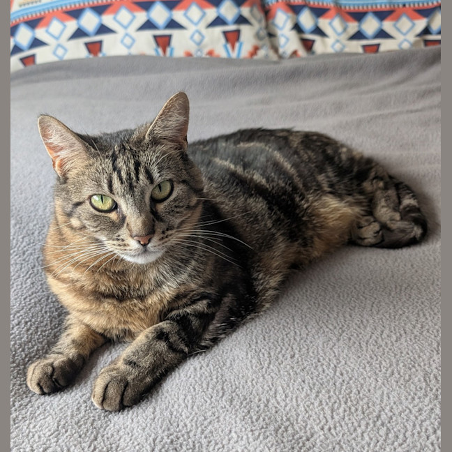 Photo of Zeus