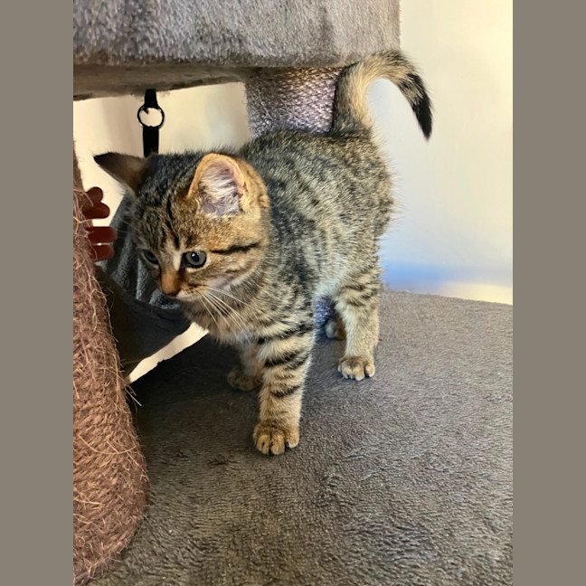Photo of Chloe