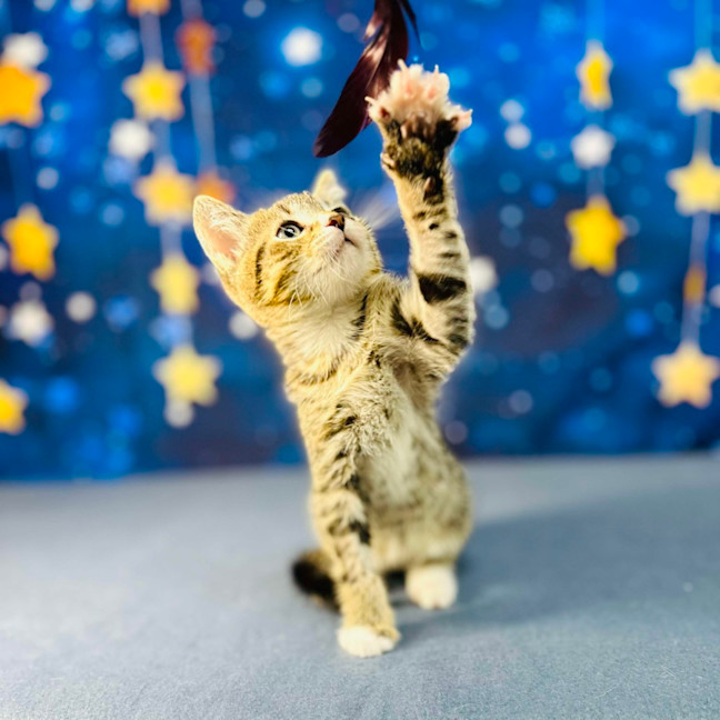 Photo of Bill   Located In Preston 