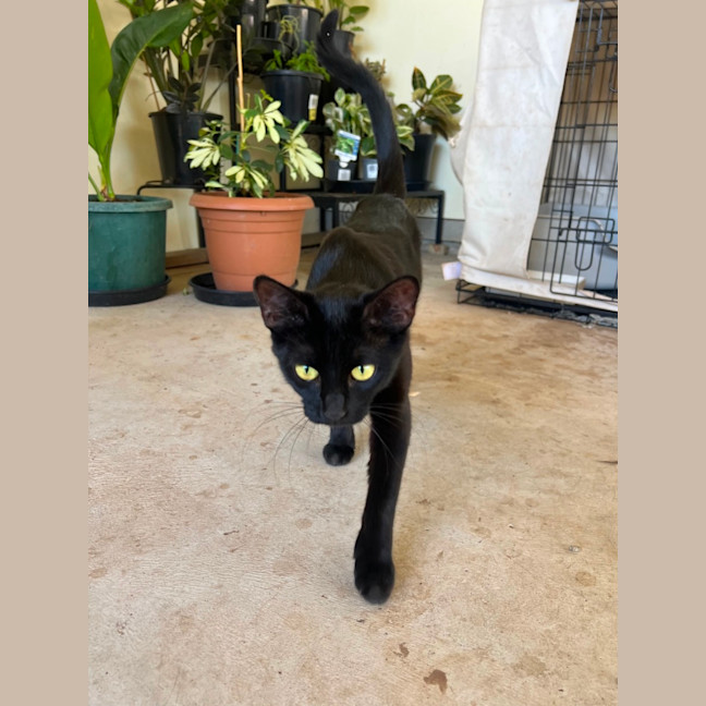 Photo of Clementine