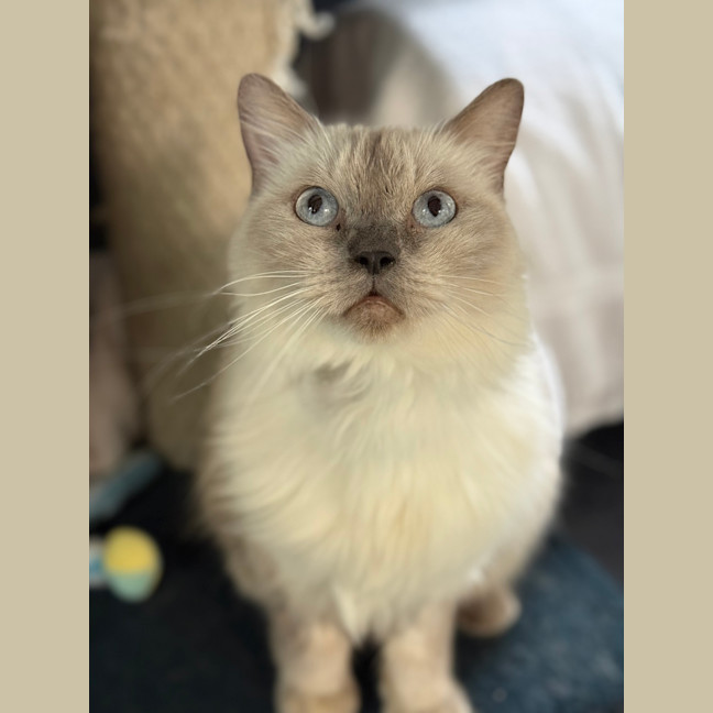Photo of Nami