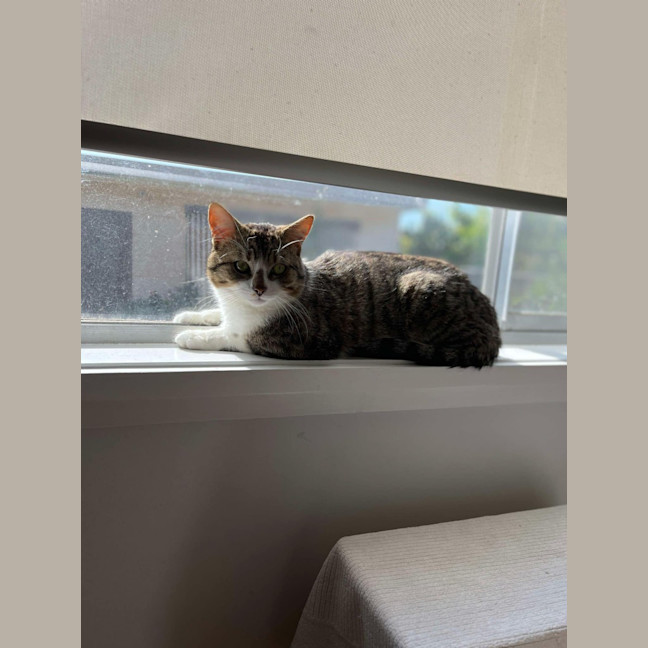 Photo of Lenny