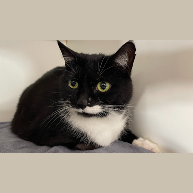 Photo of Helga