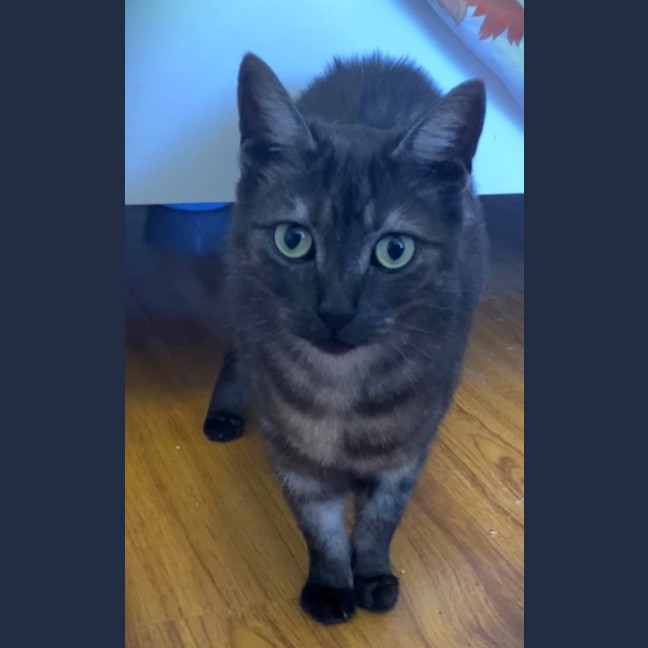 Photo of Alice