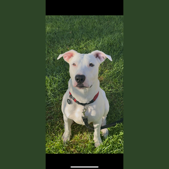 Photo of Wally